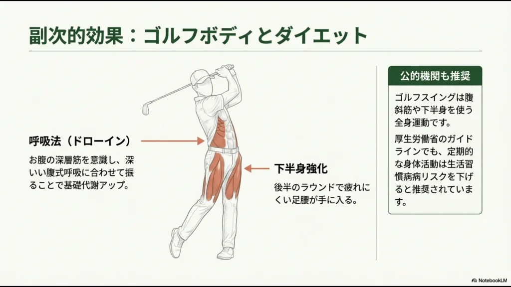 腹斜筋や下半身を鍛える全身運動としてのスイングと、ドローイン呼吸法による基礎代謝アップ、生活習慣病リスク低減の解説